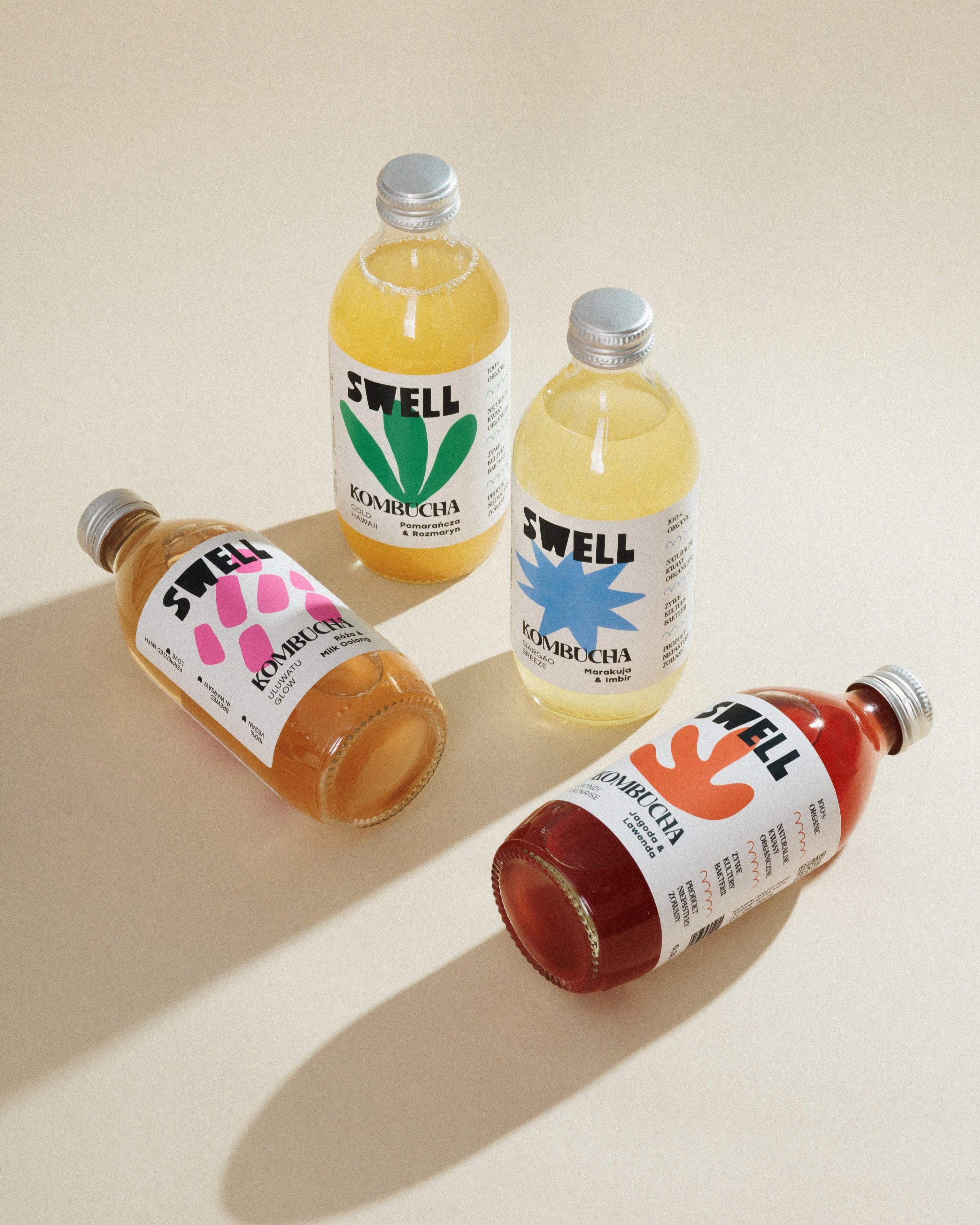kombucha tasting box – zestaw do degustacji kombuchy w różnych smakach