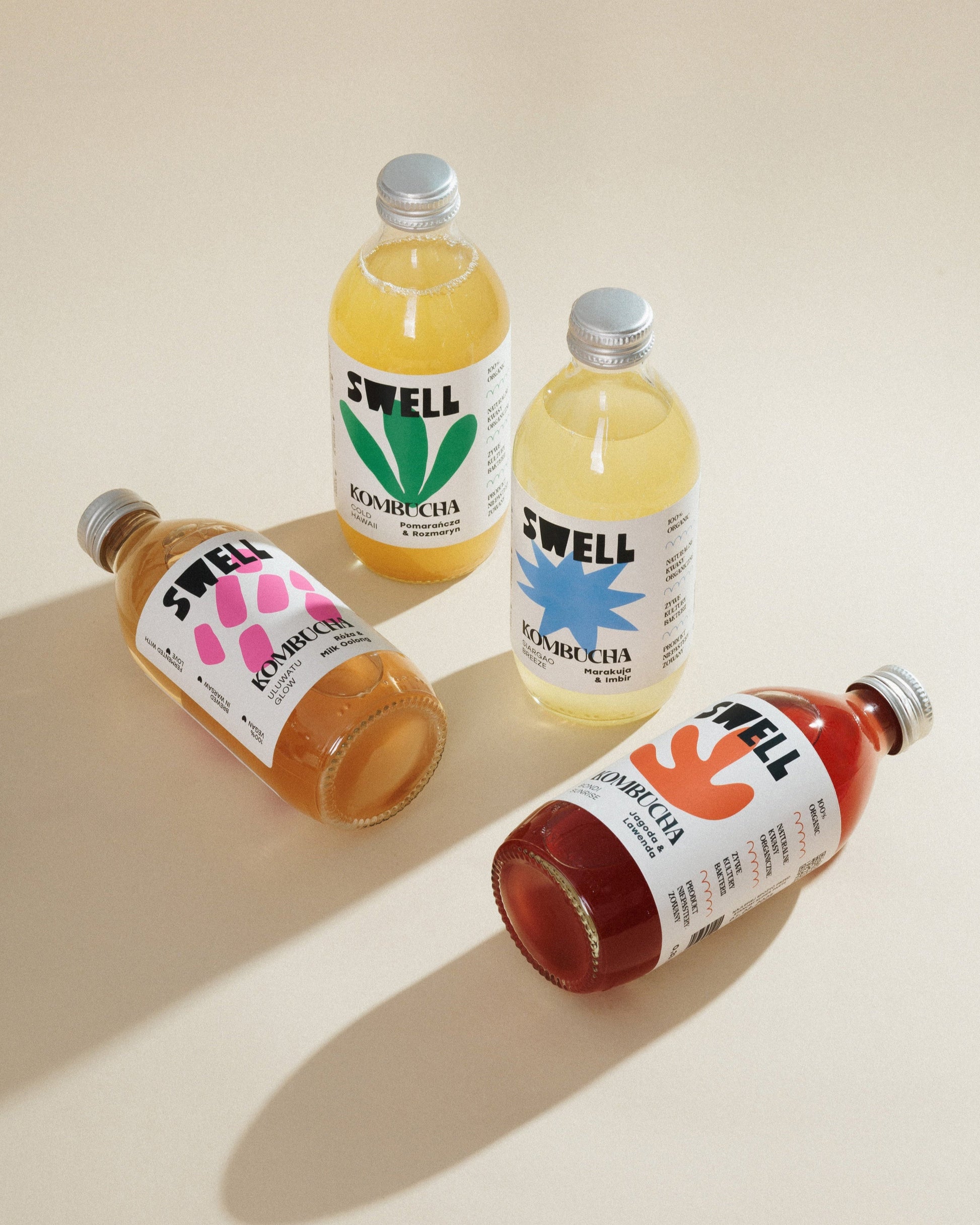 kombucha tasting box – zestaw do degustacji kombuchy w różnych smakach